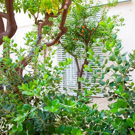 Storie Di Mare Отель типа 